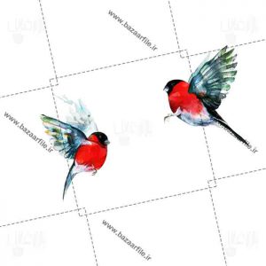 تصویر PNG نقاشی پرنده