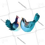 تصویر png دو پرنده
