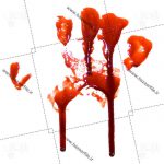 تصویر دوربری شده کف دست خونی