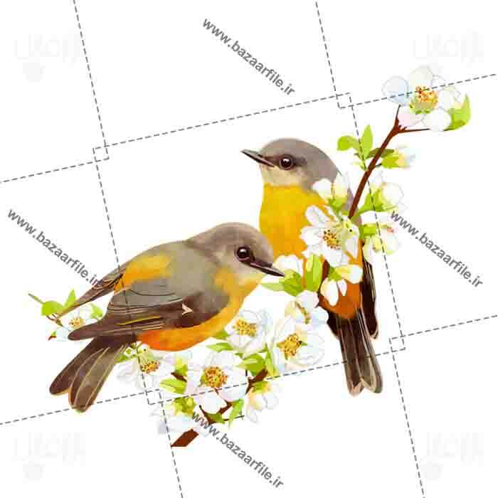 دانلود تصویر PNG پرنده کارتونی روی شاخه درخت