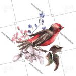 دانلود تصویر png شاخه برگ و پرنده