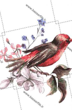 دانلود تصویر png شاخه برگ و پرنده