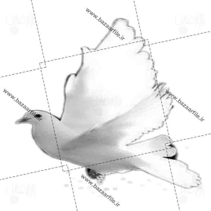 فایل png پرنده