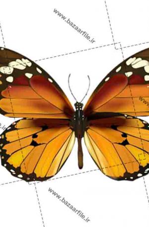 پروانه طرح دار قهوه ای png