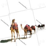 png کاروان شتر