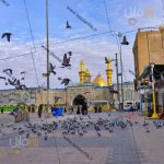 تصویر کبوتر های کربلا