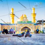 تصویر کبوتر و کربلا