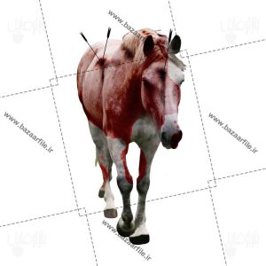 دانلود تصویر png اسب تیر خورده