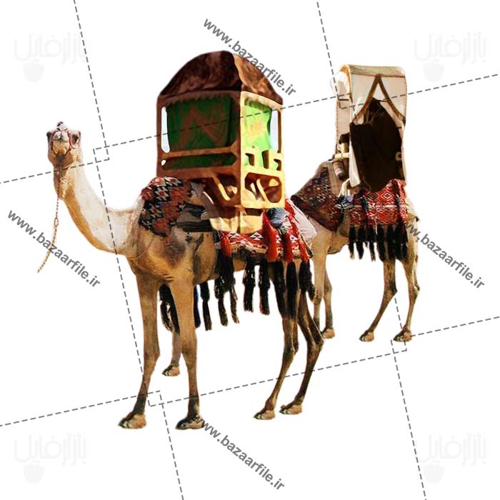 دانلود تصویر png کاروان شتر