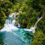 تصویر رودخانه و درخت ها