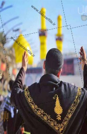 تصویر زائر حرم امام حسین ع