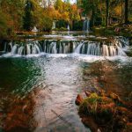 تصویر منظره جنگل با جریان رودخانه