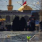 تصویر کربلا
