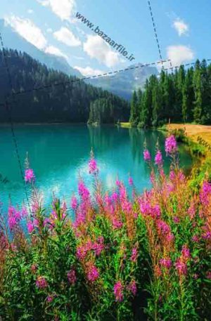 دانلود تصویر منظره رودخانه و طبیعت