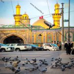 دانلود عکس کبوتر ها کربلا