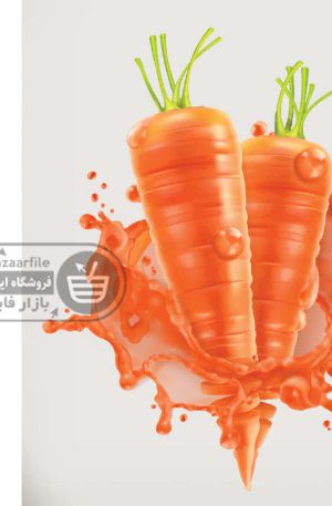 دانلود وکتور هویج