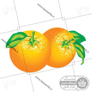 دانلود وکتور پرتقال