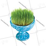 تصویر png سبزه سفره هفت سین