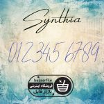 دانلود فونت انگلیسی Synthia